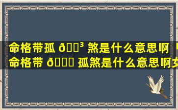 命格带孤 🐳 煞是什么意思啊「命格带 🐕 孤煞是什么意思啊女生」